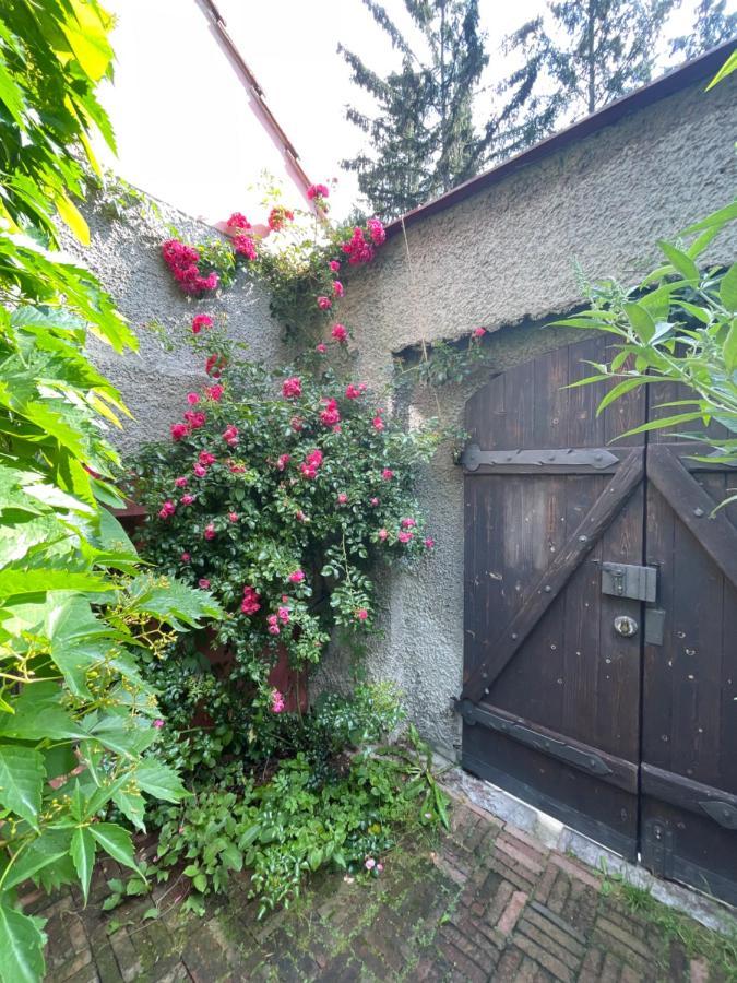 Decadent Art Club Apartamento Český Krumlov Exterior foto